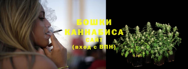 индика Наволоки