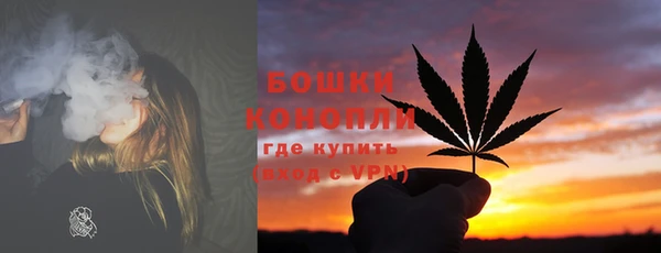 индика Наволоки