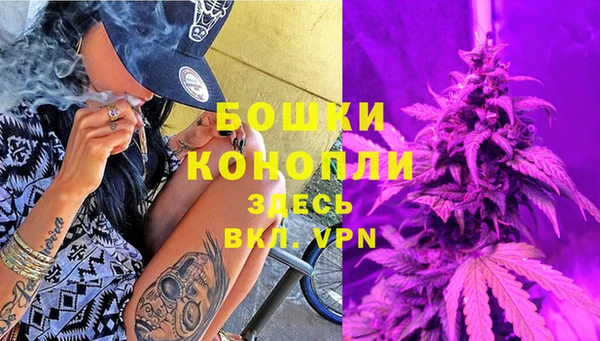 индика Наволоки