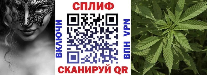 МАРИХУАНА семена  МЕГА как войти  Кола 